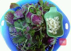 蒜末苋菜的做法图解1