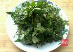 炸花椒芽的做法图解1