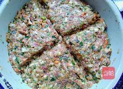 缤纷饺子(彩蔬饺子)的做法图解6