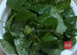 蒜香红薯叶的做法图解1