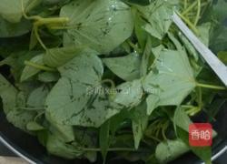 蒜香红薯叶的做法图解3