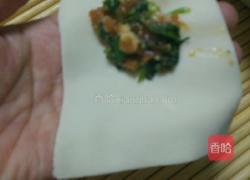 菠菜猪肉馄饨的做法图解6