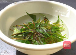 香椿煎鸡蛋的做法图解1