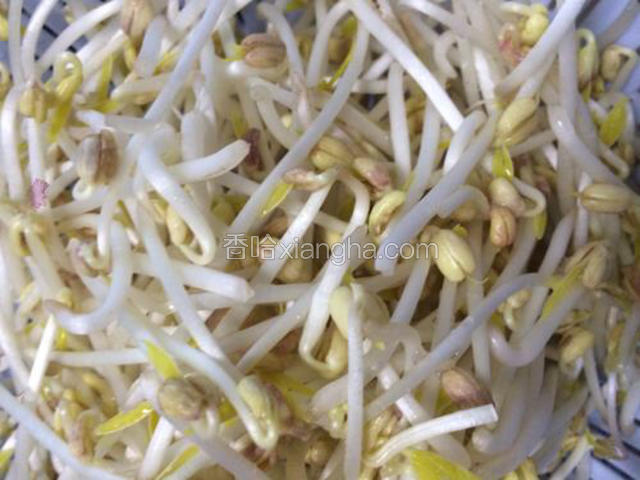 将绿豆芽去根洗净备用