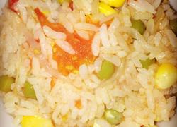 一个番茄饭(⁎⁍̴̛ᴗ⁍̴̛⁎) 