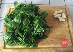 清炒豌豆苗的做法图解1