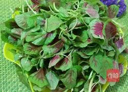 蒜末红米苋的做法图解2