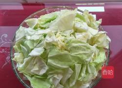 爆炒圆白菜的做法图解1