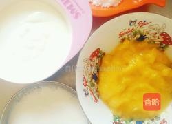 芒果酸奶奶昔的做法图解3