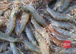 水熟大虾的做法图解1