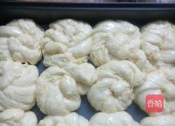 椰丝奶香包(手工)的做法图解16