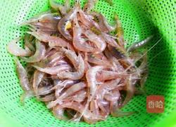 白灼小米虾的做法图解1