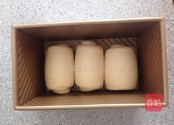 中种牛奶吐司的做法图解5