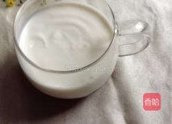 盘栽酸梅冻的做法图解4