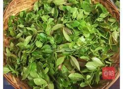 自制乌饭糕的做法图解1