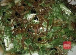 凉拌银鱼苦菊的做法图解5