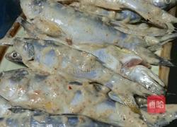 油煎小杂鱼的做法图解1