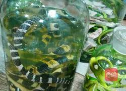 蛇酒的做法图解3