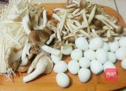 菌菇鹌鹑汤的做法图解2