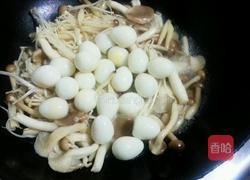 菌菇鹌鹑汤的做法图解4