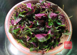 蒜香苋菜的做法图解2