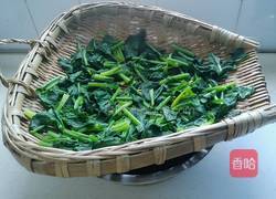 凉拌菠菜的做法图解9
