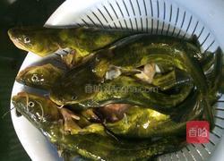 黄丫头煮豆腐的做法图解1