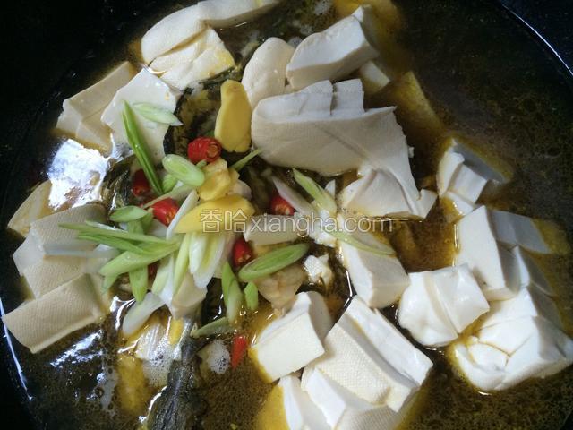 将豆腐和佐料放入锅中，加入适量的盐和几滴老抽，盖上锅盖焖煮，注意锅里的水量，及时添加足量的水，要多煮一会儿，将豆腐煮出蜂窝状最好