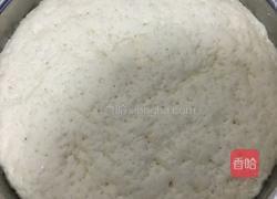 茴香小肉包的做法图解4