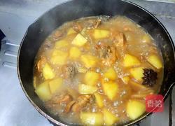 土豆炖鸡的做法图解9