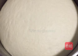 西北油饼的做法图解2