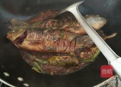 香辣红烧鲫鱼的做法图解6
