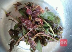 凉拌香椿芽的做法图解1