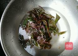 凉拌香椿芽的做法图解2