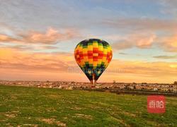 奶汁焗花椰菜(Cauliflower Gratin)的做法图解16