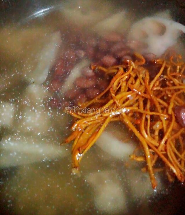 撇去浮沫后不需要换水，直接将花生虫草花和莲藕放入锅内，泡虫草花的水一并倒入。