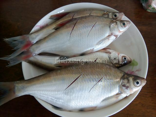 鱼洗净沥干，切口方便入味