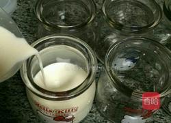 牛奶布丁的做法图解4