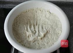 虾仁小白菜包子的做法图解8