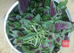 苋菜粉丝汤的做法图解1