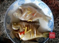 酱香鱼的做法图解8