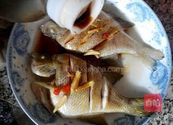 酱香鱼的做法图解9