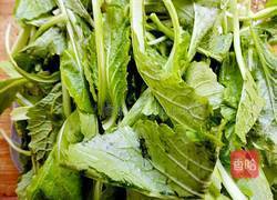 蒜蓉小白菜的做法图解1