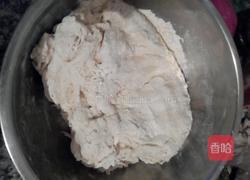 野菜大馅饺子的做法图解3