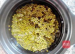 绿豆茶的做法图解3