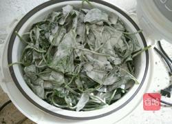 地瓜叶米果的做法图解4