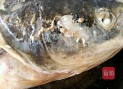 红烧大甲鱼的做法图解4