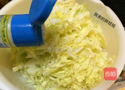 凉拌白菜的做法图解2