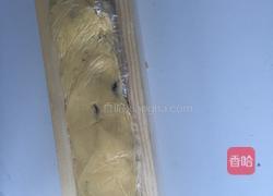 蔓越莓饼干的做法图解6