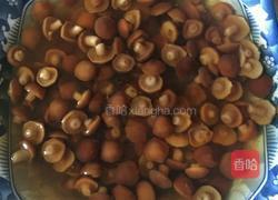 汇双菇的做法图解2